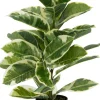 Intratuin kunstplant Rubberboom witbont H 85 cm