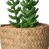 Intratuin kunstplant Sedum D 9 H 16 cm