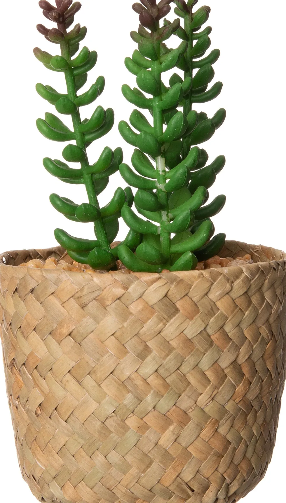 Intratuin kunstplant Sedum D 9 H 16 cm