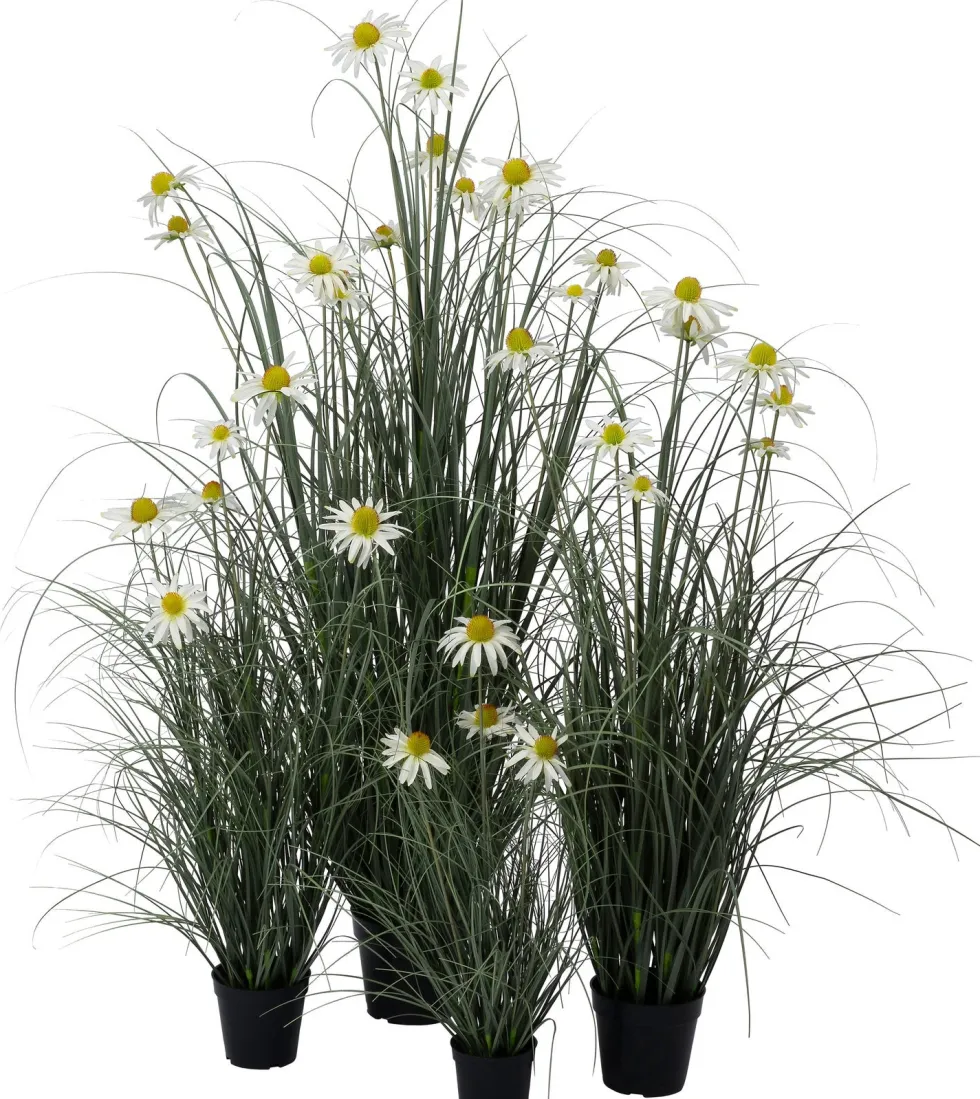 Intratuin kunstplant Siergras / Zonnehoed wit D 11 H 62 cm