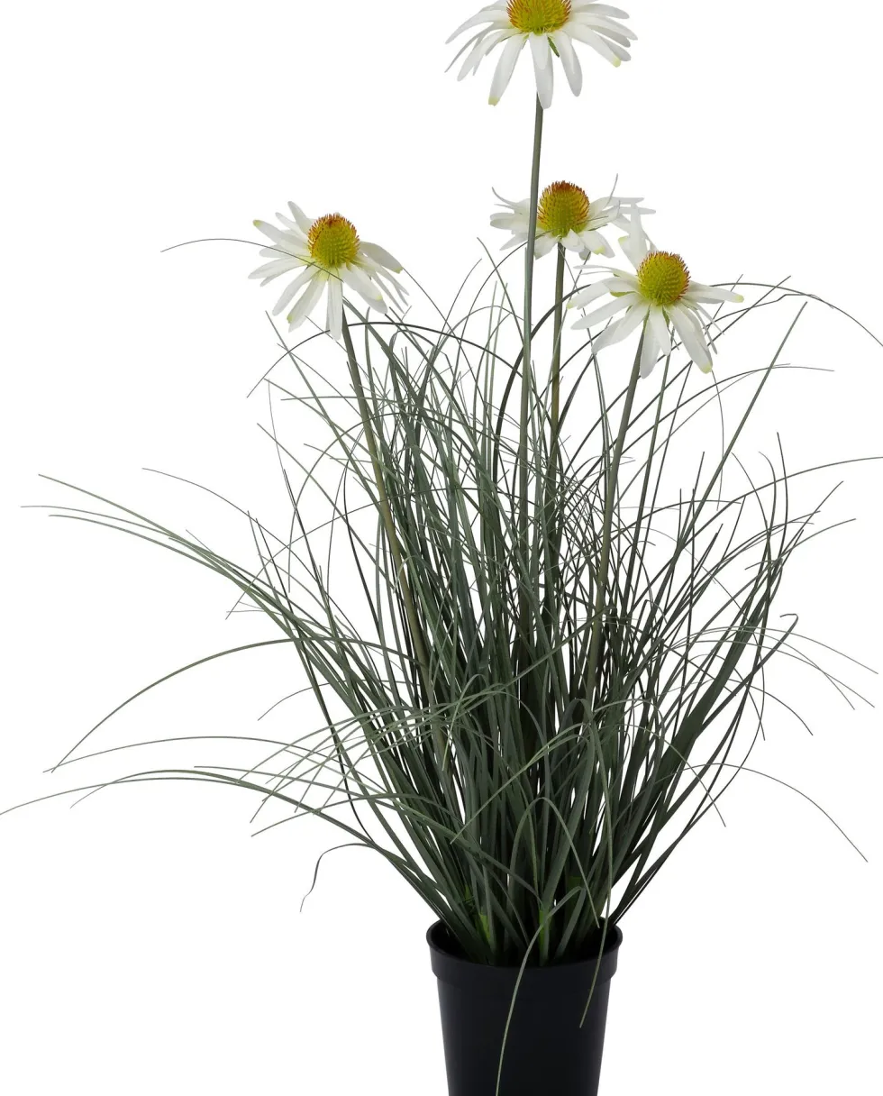 Intratuin kunstplant Siergras / Zonnehoed wit D 11 H 62 cm