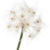 Intratuin kunstplant Siergras / Paardenbloem wit H 120 cm