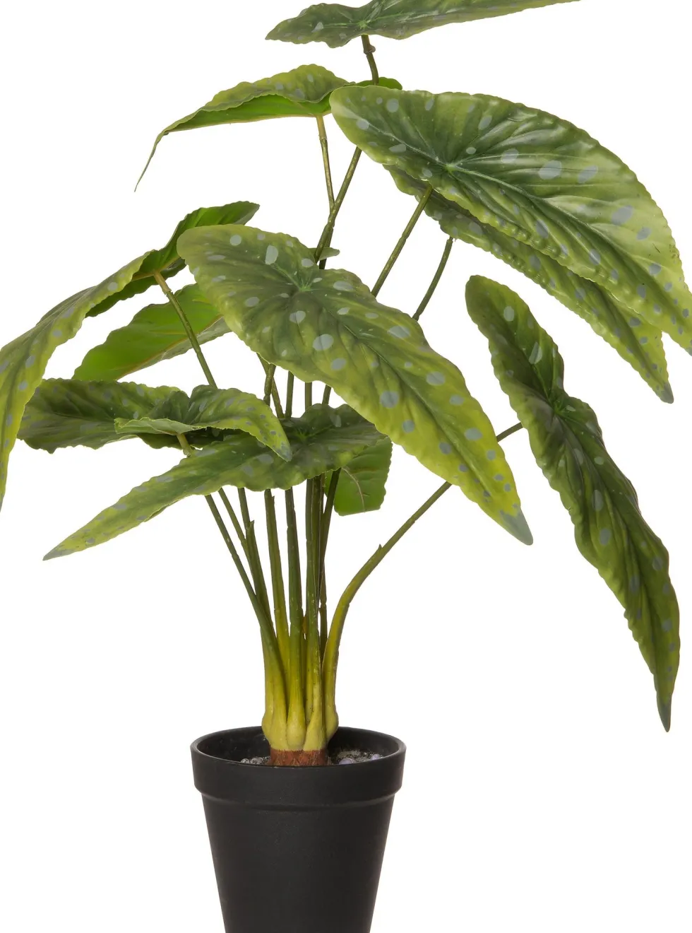 Intratuin kunstplant Stippenbegonia H 48 cm