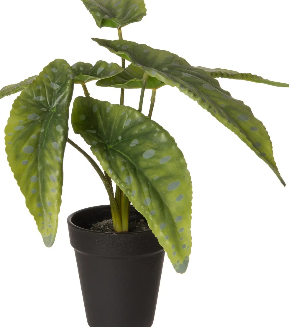 Intratuin kunstplant Stippenbegonia H 26 cm