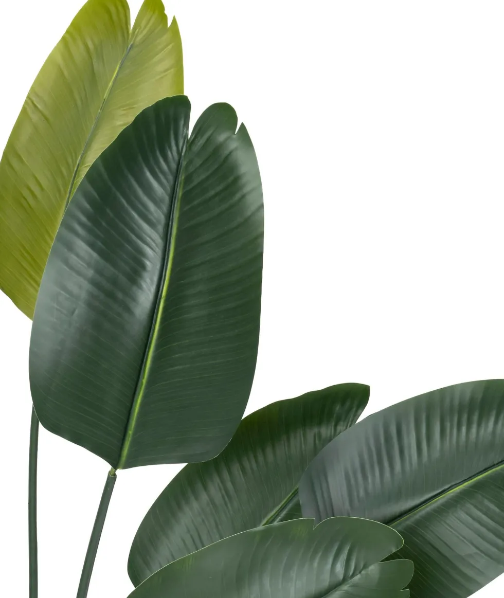 Intratuin kunstplant Strelitzia D 15 H 180 cm