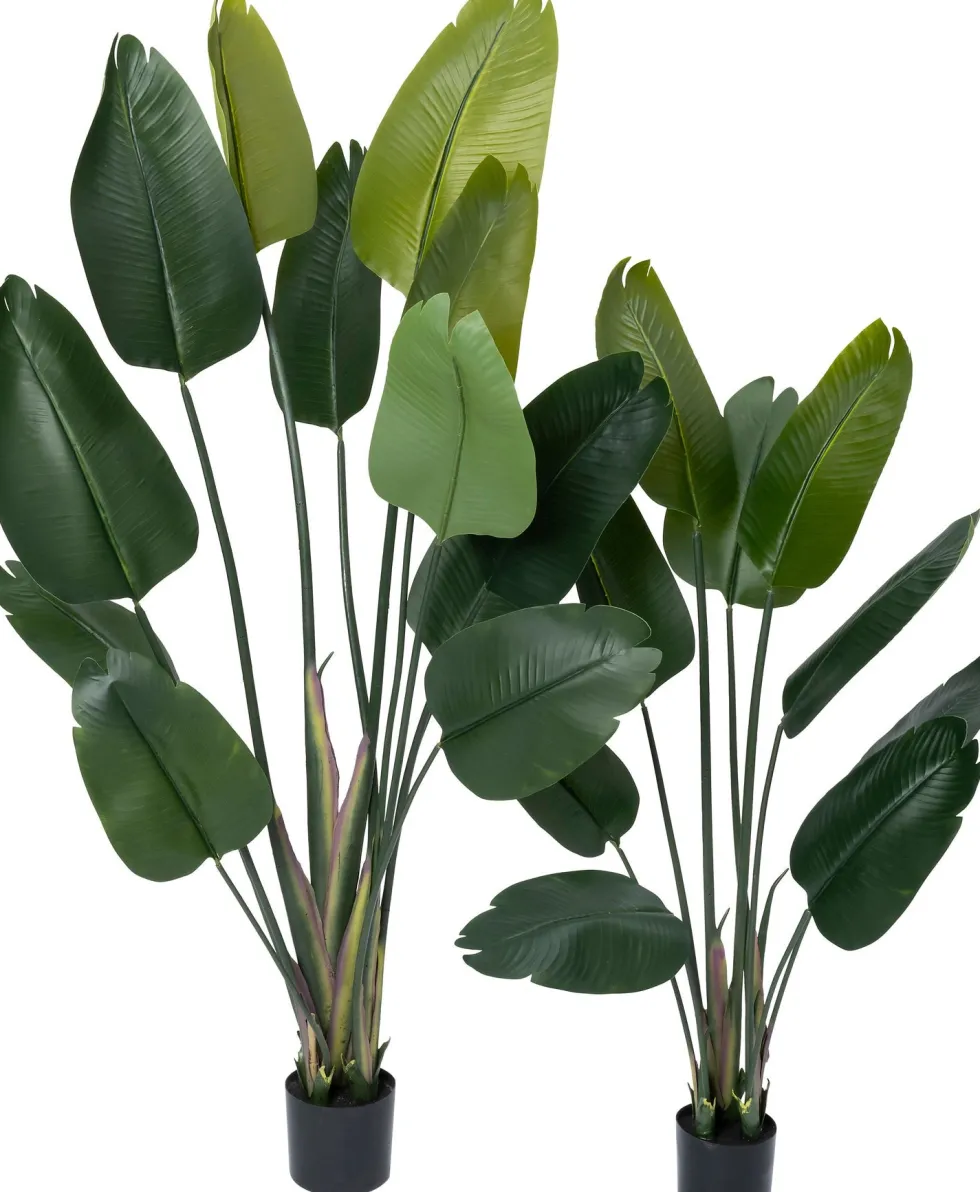Intratuin kunstplant Strelitzia D 15 H 180 cm