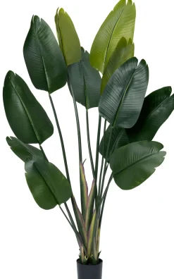 Intratuin kunstplant Strelitzia D 15 H 180 cm