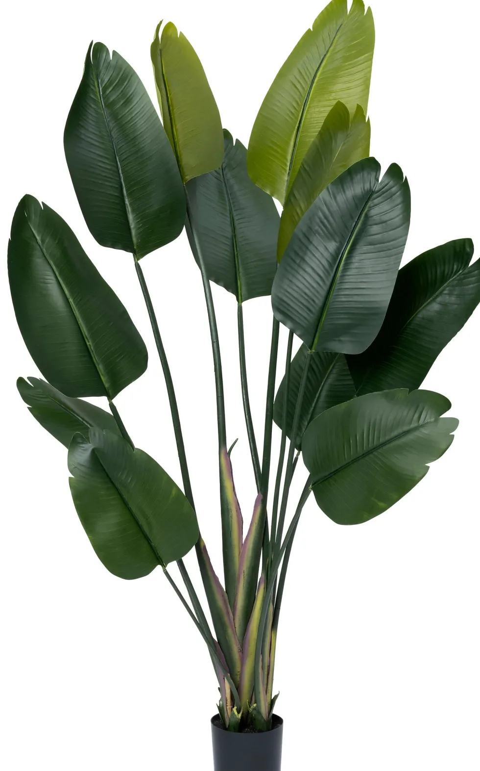 Intratuin kunstplant Strelitzia D 15 H 180 cm