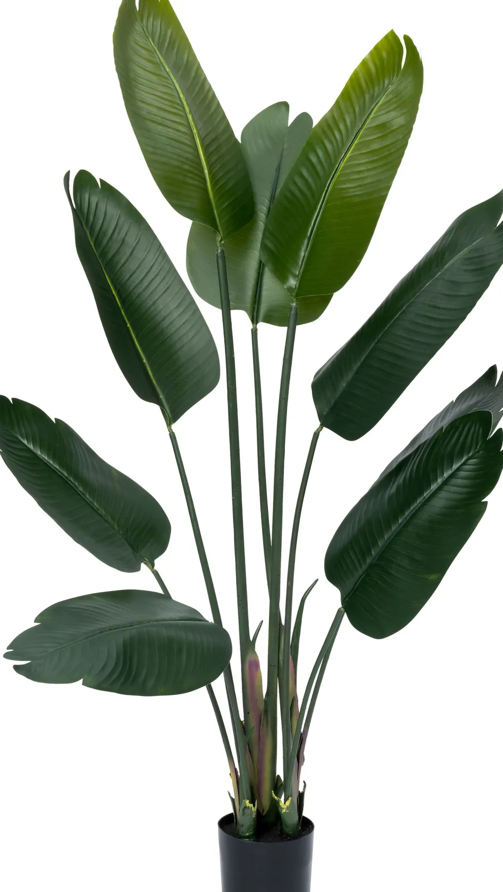 Intratuin kunstplant Strelitzia D 13,5 H 140 cm