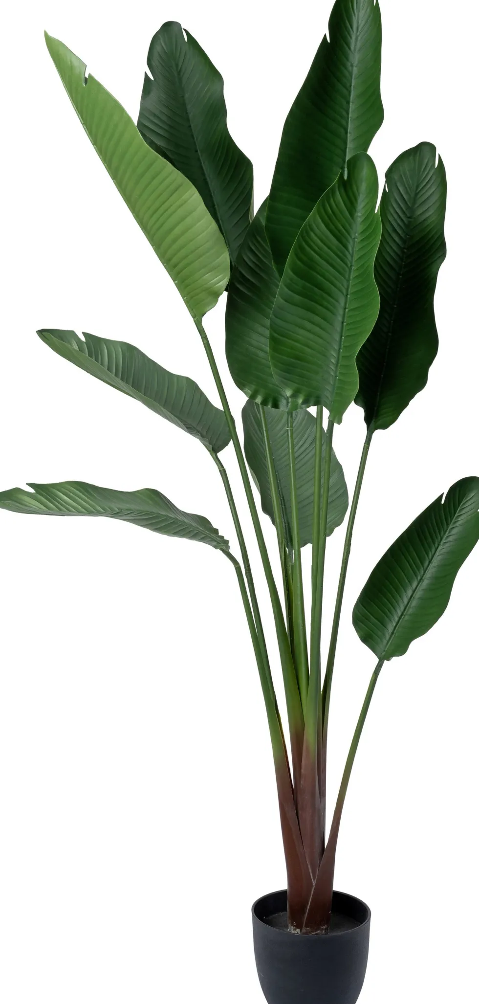 Intratuin kunstplant Strelitzia D 22 H 185 cm