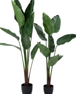 Intratuin kunstplant Strelitzia D 22 H 185 cm