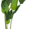 Intratuin kunstplant Strelitzia H 85 cm