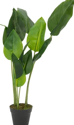 Intratuin kunstplant Strelitzia H 85 cm