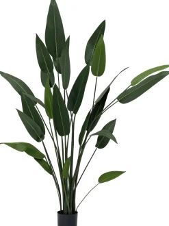 Intratuin kunstplant Strelitzia H 160 cm