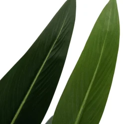 Intratuin kunstplant Strelitzia H 160 cm