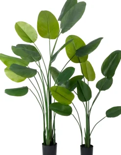 Intratuin kunstplant Strelitzia D 15,2 H 160 cm
