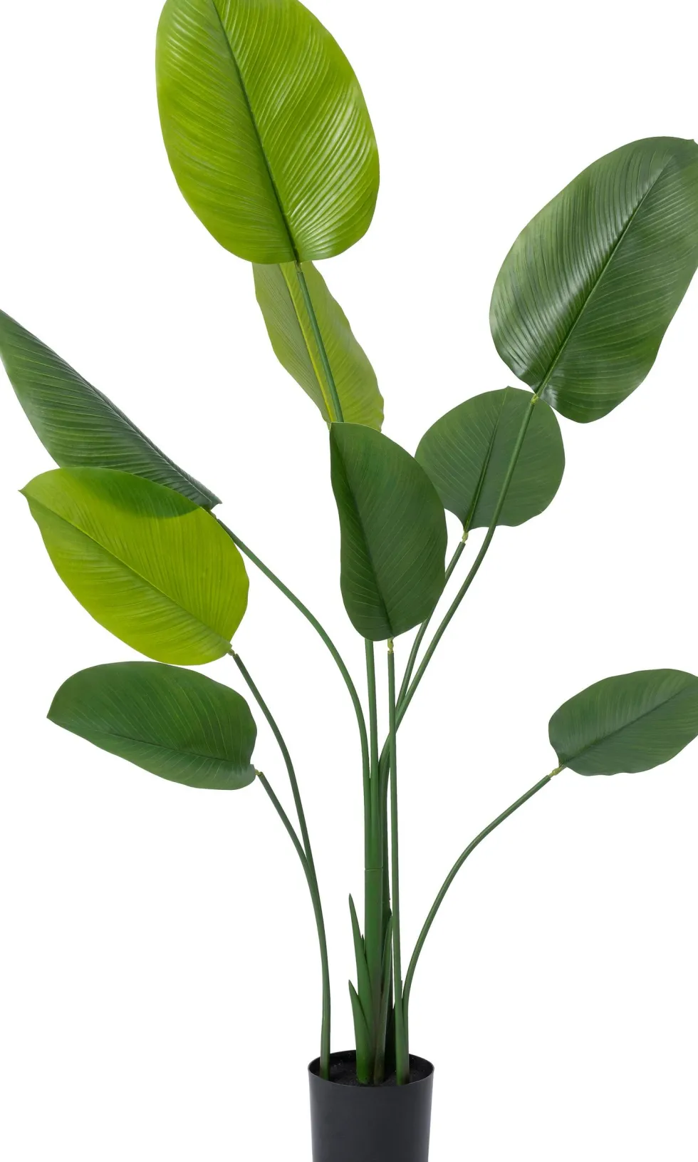 Intratuin kunstplant Strelitzia D 15,2 H 160 cm