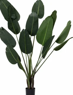 Intratuin kunstplant Strelitzia D 17 H 180 cm