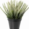 Intratuin kunstplant Struikheide wit D 12 H 23 cm