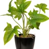 Intratuin kunstplant Syngonium H 24 cm
