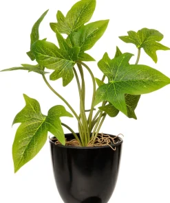 Intratuin kunstplant Syngonium H 24 cm
