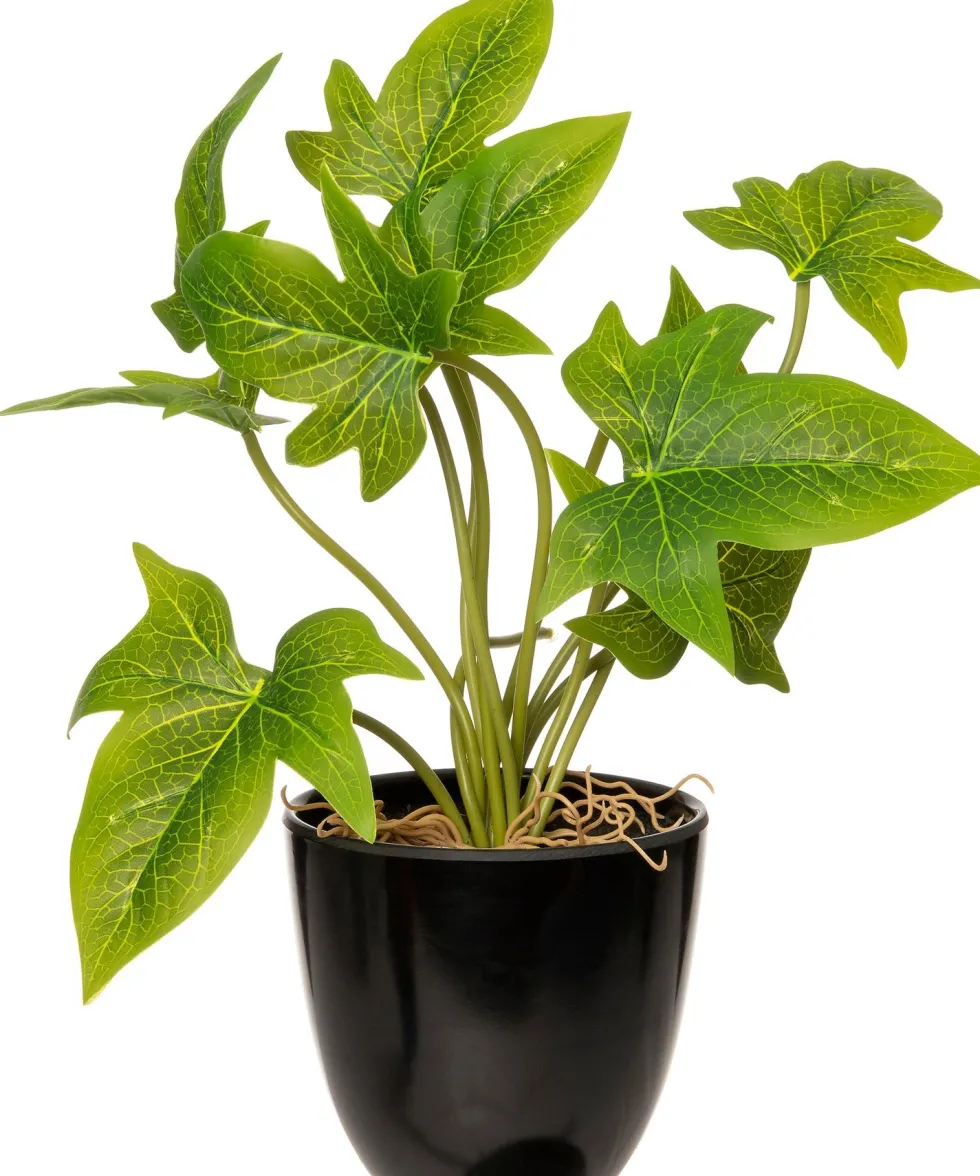 Intratuin kunstplant Syngonium H 24 cm