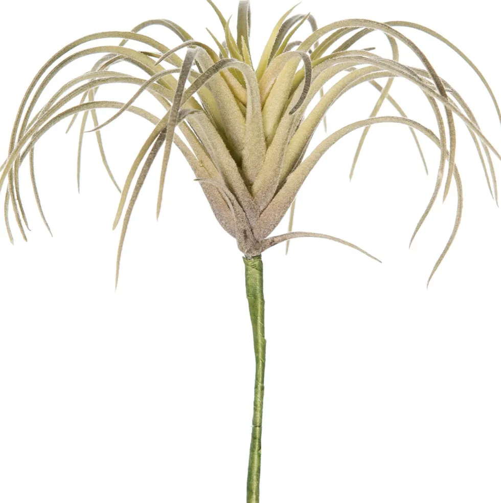 Intratuin kunstplant Tillandsia grijs H 11 cm