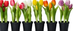 Intratuin kunstplant Tulp paars D 8 H 24 cm