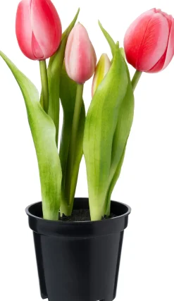 Intratuin kunstplant Tulp roze D 8 H 24 cm