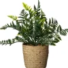 Intratuin kunstplant Varen D 11 H 26 cm