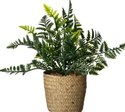 Intratuin kunstplant Varen D 11 H 26 cm