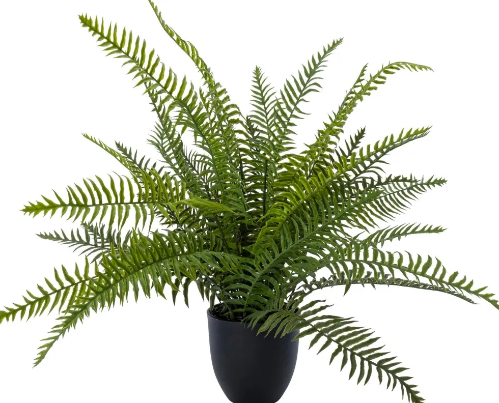 Intratuin kunstplant Varen D 14 H 65 cm