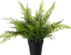 Intratuin kunstplant Varen D 20 H 20 cm