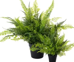 Intratuin kunstplant Varen D 20 H 20 cm