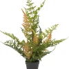 Intratuin kunstplant Varen H 58 cm
