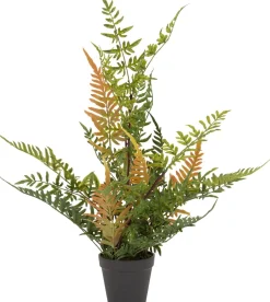 Intratuin kunstplant Varen H 58 cm