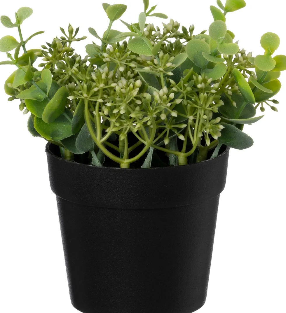 Intratuin kunstplant Vetplant wit H 14 cm