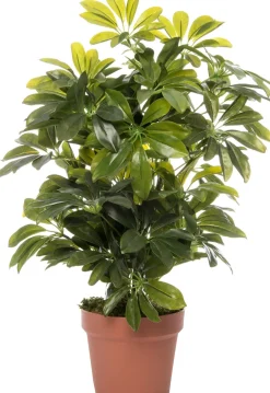 Intratuin kunstplant Vingerplant D 17 H 65 cm