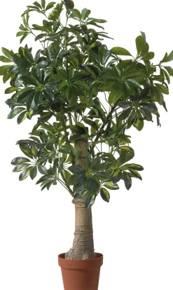 Intratuin kunstplant Vingerplant D 17 H 120 cm