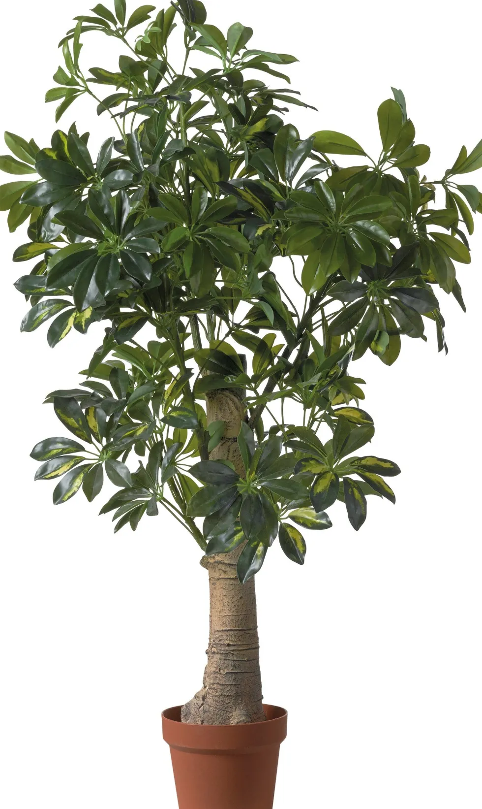 Intratuin kunstplant Vingerplant D 17 H 120 cm