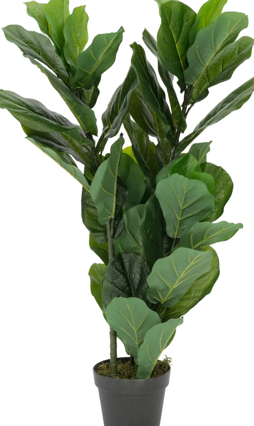 Intratuin kunstplant Vioolbladplant D 17 H 100 cm