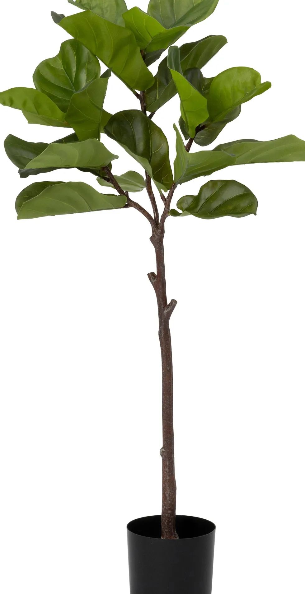 Intratuin kunstplant Vioolbladplant D 17 H 125 cm