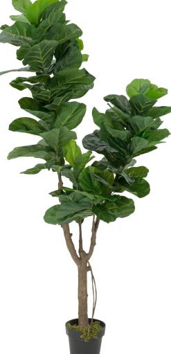 Intratuin kunstplant Vioolbladplant D 17 H 180 cm