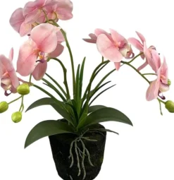 Intratuin kunstplant Vlinderorchidee roze D 13 H 43 cm