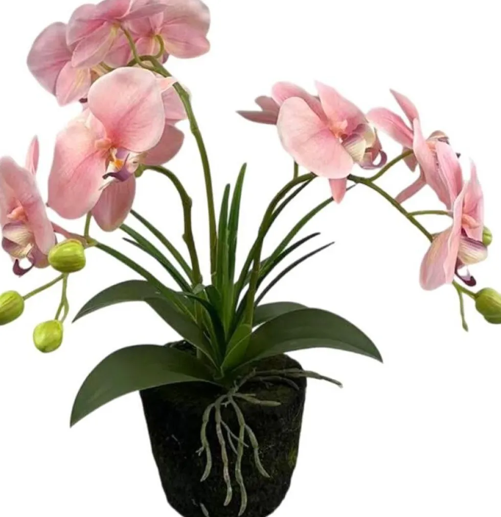 Intratuin kunstplant Vlinderorchidee roze D 13 H 43 cm