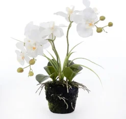 Intratuin kunstplant Vlinderorchidee wit D 13 H 43 cm