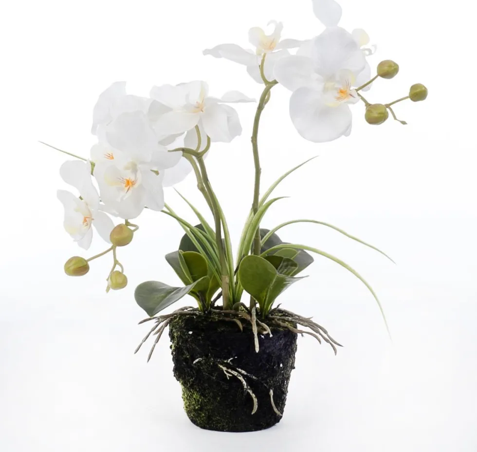 Intratuin kunstplant Vlinderorchidee wit D 13 H 43 cm