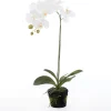 Intratuin kunstplant Vlinderorchidee wit D 13 H 60 cm