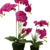 Intratuin kunstplant Vlinderorchidee roze D 13,5 H 50 cm