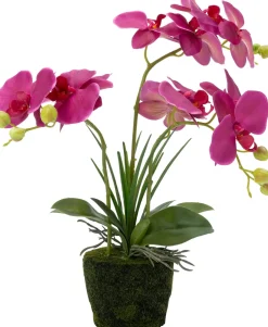 Intratuin kunstplant Vlinderorchidee roze D 13,5 H 50 cm